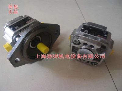 力士乐泵 PGF2-2X/006LA01VP2-A353