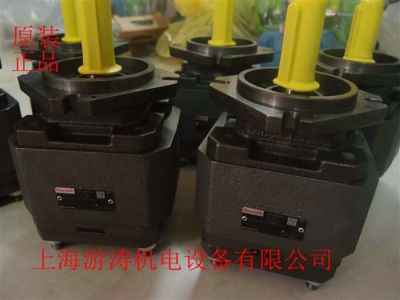 REXROTH齿轮泵P2GH5/063 GH4/063RE11 R07E4