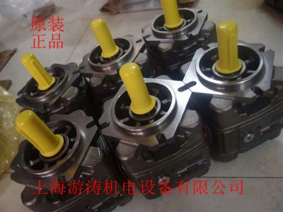 进口供应齿轮泵PGH5-3X/250RR07VU2 