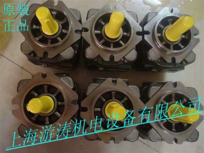 齿轮泵PGH5-3X/080RE11VU2