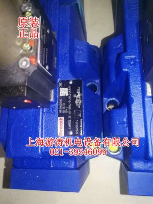 4WRDE25W1-350L-54/6L24K9/M上海游涛